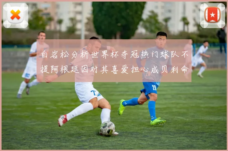 白岩松分析世界杯夺冠热门球队不提阿根廷因对其喜爱担心成贝利命运