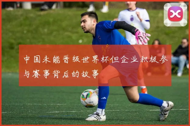 中国未能晋级世界杯但企业积极参与赛事背后的故事